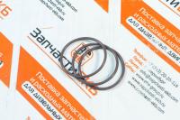 193736 Уплотнительное кольцо для Cummins