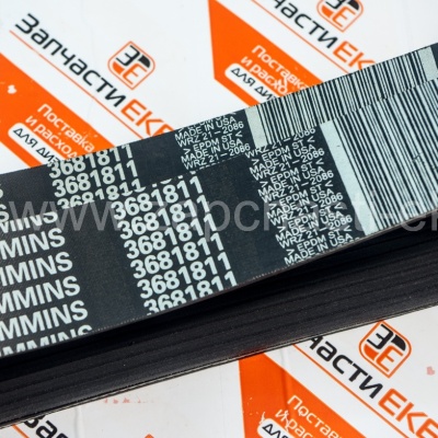 3681811 Ремень для Cummins QSX15