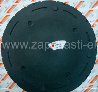 AF25619 Воздушный фильтр Fleetguard